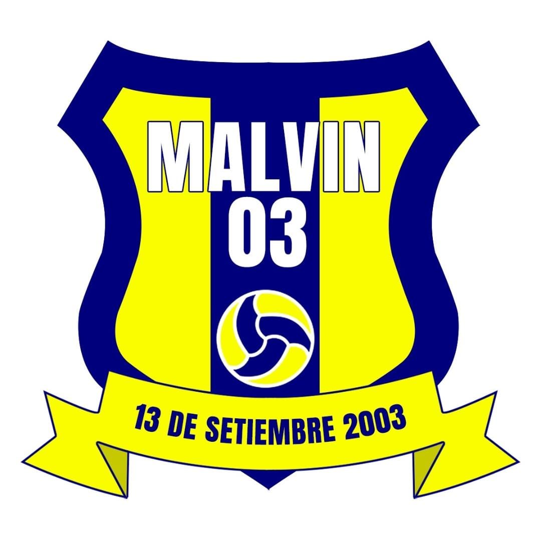 Escudo Malvin03