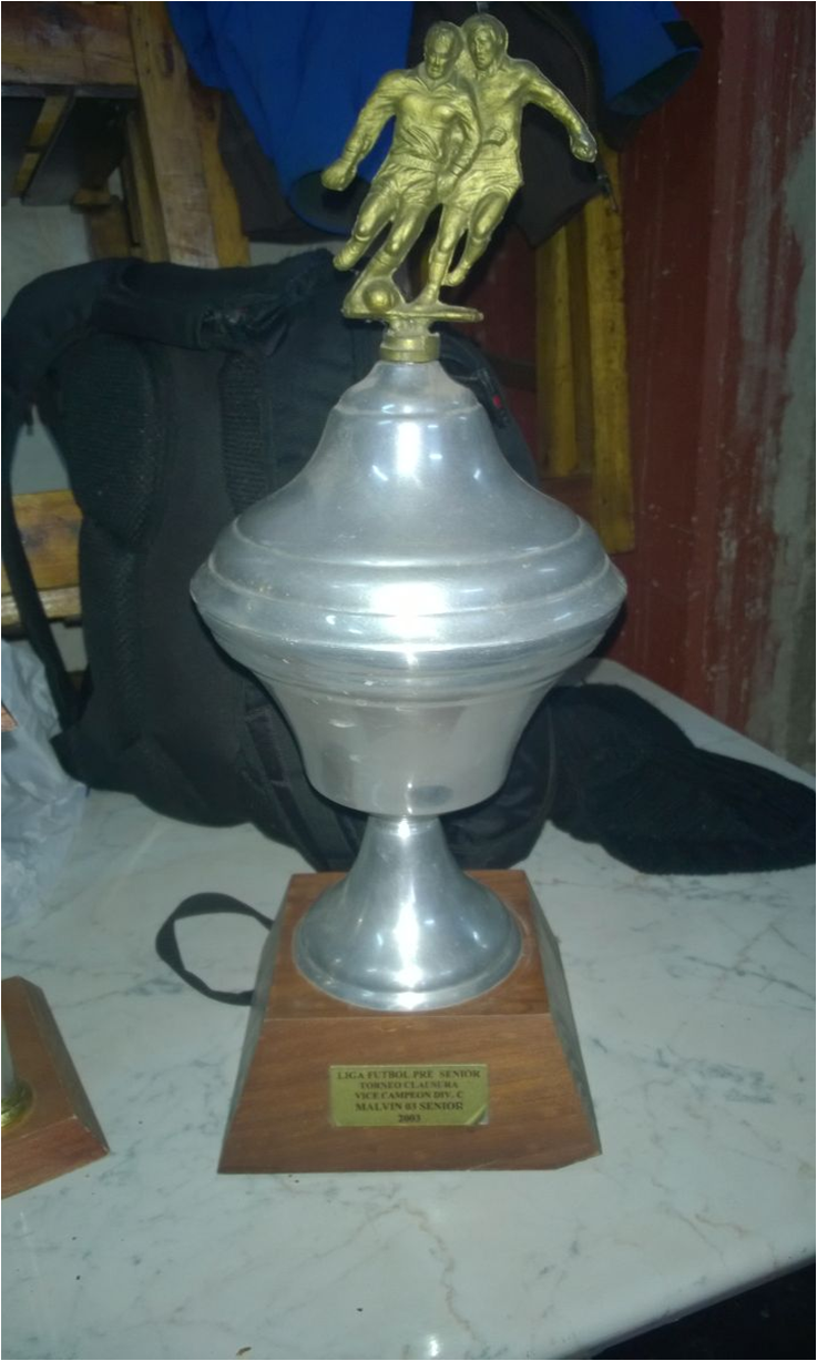 Copa Subcampeón Divisional C 2003